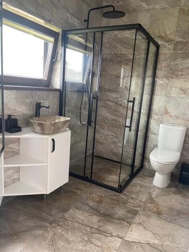 a bathroom with a shower and a sink and a toilet at Rose & Raspberry Garden in Shevchenkovo