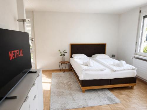Perfectly located studio - Art 5