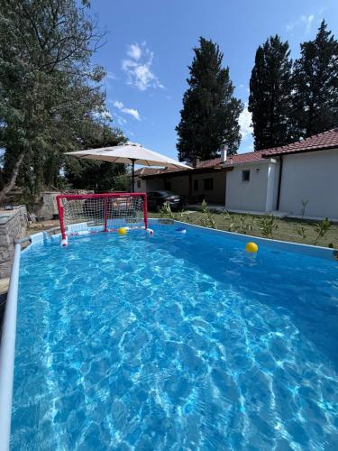 a large blue swimming pool with a goal at Casa Hollaj in Vladimir