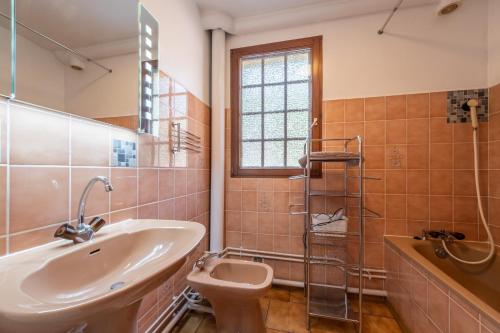 a bathroom with a sink and a toilet and a mirror at La Petite Caille - Appartement 10 in Plombières-les-Bains