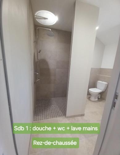 a bathroom with a shower and a toilet at Gite de Chassigny in Avallon