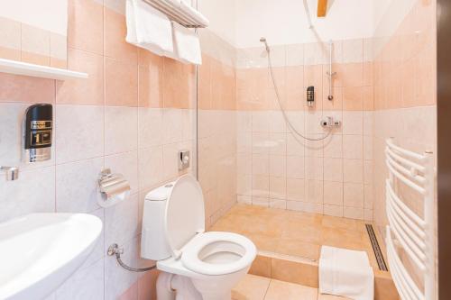 a bathroom with a toilet and a shower and a sink at Hotel Selsky Dvur in Vyškov