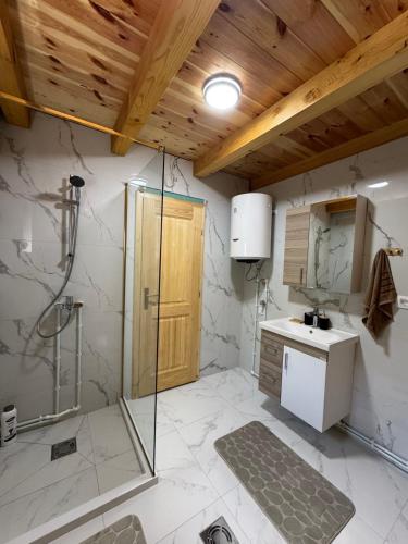 a bathroom with a shower and a sink at Frogland in Žabljak