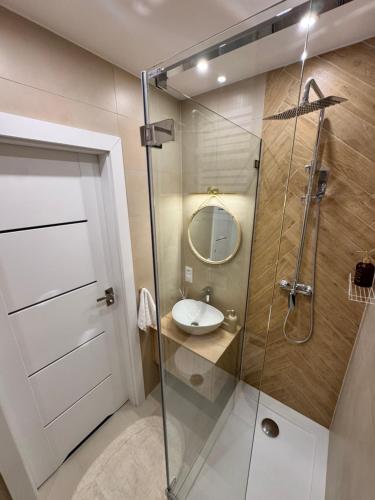 a bathroom with a shower with a sink and a mirror at Kaszmir Studio in Tarnowskie Góry
