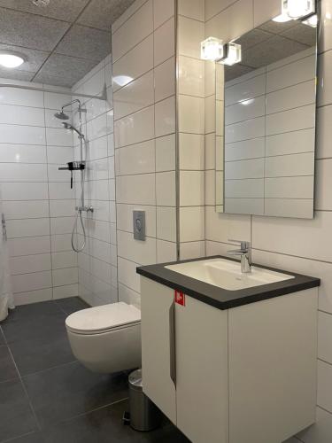 a bathroom with a toilet and a sink and a mirror at Tuukkaq Apartments in Nuuk
