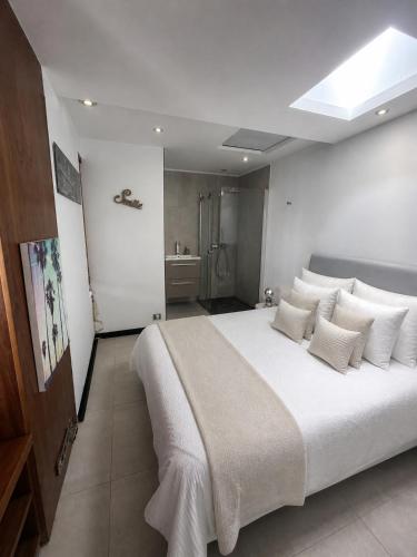 Penthouse palm beach