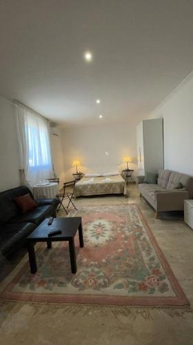 a living room with a couch and a table at casa di malika in Borgo Venusio