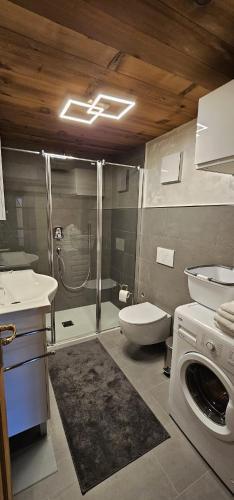 a bathroom with a shower and a toilet and a sink at Chalet La Stua in Cavalese