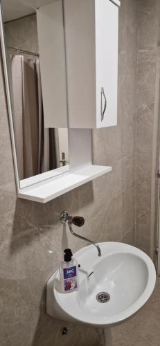 a bathroom with a white sink and a mirror at Adriatic Villa Matea in Budva