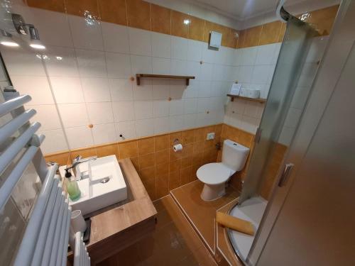a small bathroom with a toilet and a sink at Pension Three in Františkovy Lázně