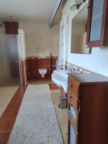 a bathroom with a sink and a toilet and a mirror at Apartmán Nebo in Turčianske Teplice
