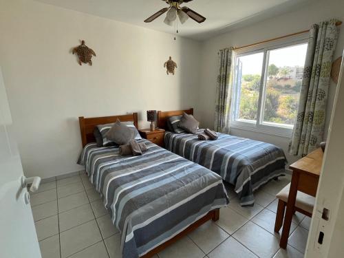 two beds in a room with a window at Pegeia Sun in Peyia