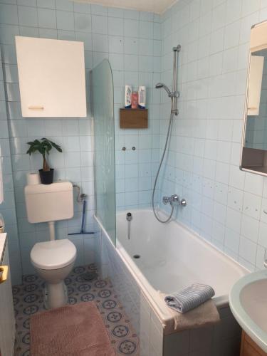a bathroom with a toilet and a tub and a sink at Panorama Hause in Podplat