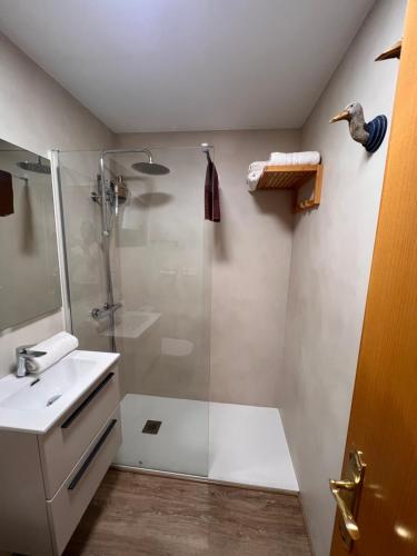 a bathroom with a shower and a sink at CAMBARAL AS DE GUIA in Luarca