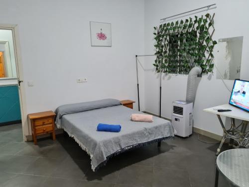 a room with a bed and a desk with a computer at Casa OASIS in Almonte