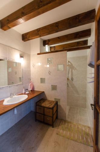 a bathroom with a sink and a shower at Ecrin du Ségala - Chambres d'hôtes in Tauriac-de-Naucelle