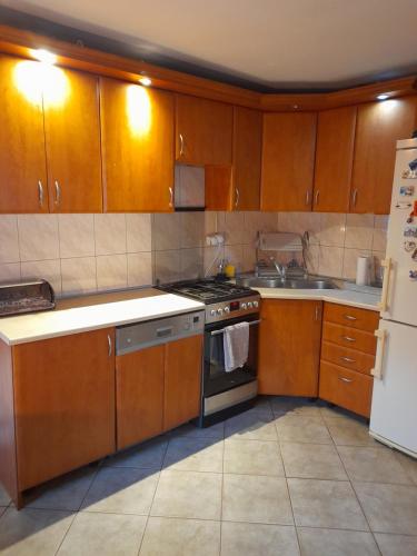 a kitchen with wooden cabinets and a stove and a sink at Malwers in Zielonka