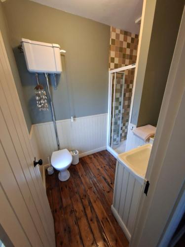 a bathroom with a toilet and a tub and a sink at The Point by the Sea in Carraroe