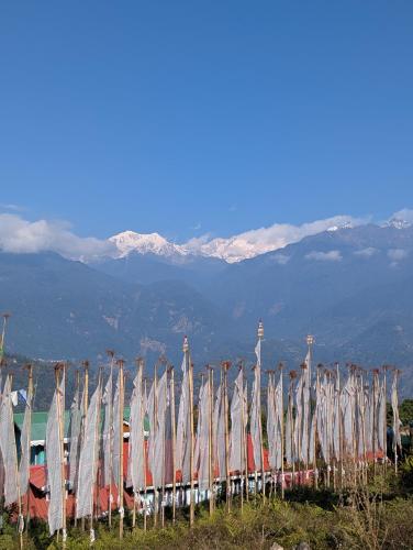 a bunch of white flags are lined up on a hill at Mochilero Homestead in Pelling