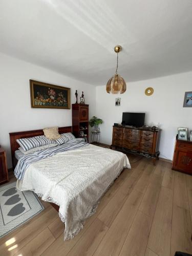 a bedroom with a bed and a television in it at Casa Rodica in Mangalia