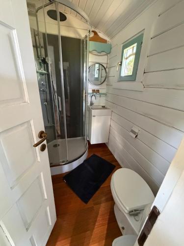 a small bathroom with a shower and a toilet at La Roulotte à Raven in Le Houga