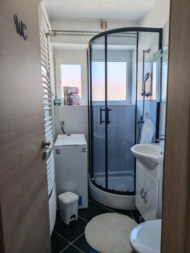 a bathroom with a shower and a toilet and a sink at Apartman Matej in Gospić