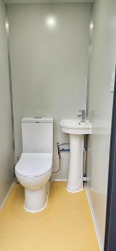a bathroom with a toilet and a sink at Zest Campers Ltd in Golden