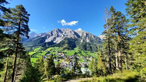 a village in the mountains with trees at Obergrabnerhof in Ramsau am Dachstein