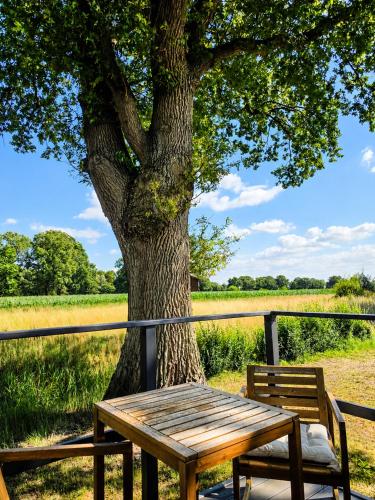 a wooden bench sitting in front of a tree at Chalet Oslo in Bleckede