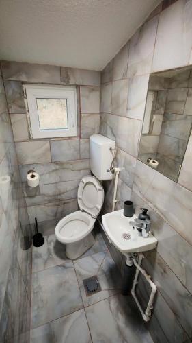 a bathroom with a toilet and a sink at Riverside Rooms in Šavnik