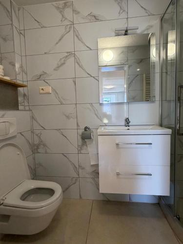 a bathroom with a toilet and a sink and a mirror at Ferienwohnung Trinh 1 in Überlingen
