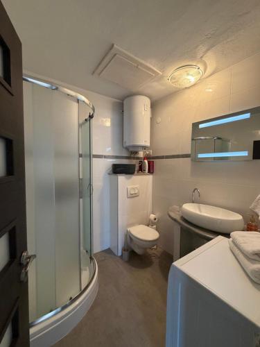 a bathroom with a shower and a toilet and a sink at Apartmani Brač in Pučišća