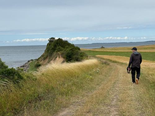 a man walking down a dirt road next to the ocean at Krageholmshytten in Karrebæksminde