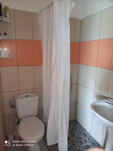 a bathroom with a toilet and a sink at F2 F3 Marjo tranquillity in Le Carbet
