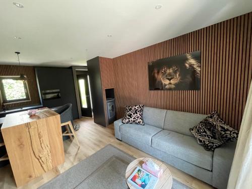 a living room with a couch and a picture of a cat at Ascona Casa Mamina A in Ascona