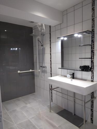 a bathroom with a sink and a shower and a mirror at Le gîte de L'Étable in Magny-le-Désert