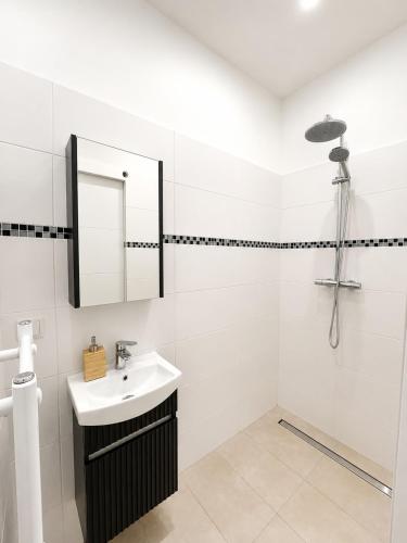 NEW! Fully furnished studio in Center