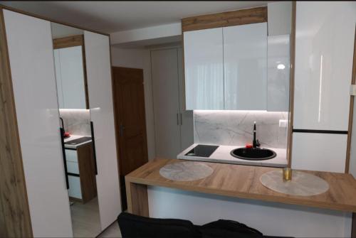 eine Küche mit einer Arbeitsplatte und einem Spülbecken in der Unterkunft Square Studio Brcko in Brčko