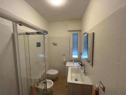 a bathroom with a sink and a toilet and a shower at Il Cenerone in Pineto