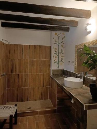 a bathroom with a tub and a sink at Casa xocolatl in San Miguel de Allende