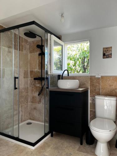 a bathroom with a shower and a toilet and a sink at Maisonnette et Campagne Provençale, avec Piscine in Orgon