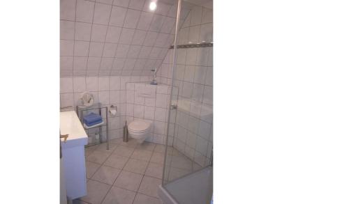 a bathroom with a toilet and a shower at Ruhige, moderne Maisonette Ferienwohnung Rügensonne mit großem Balkon - umgeben vom Wasser in Breege