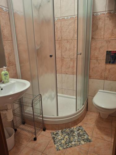a bathroom with a shower and a toilet and a sink at penzion BON TRE in Třeboň