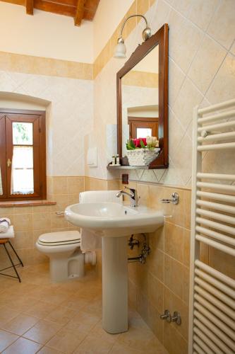 a bathroom with a sink and a toilet and a mirror at Agriturismo Luggiano in Vinci