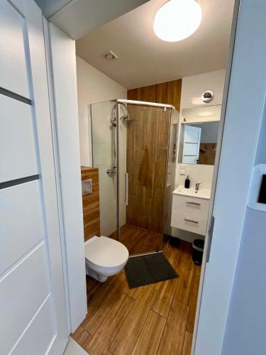 a bathroom with a shower and a toilet and a sink at Apartamenty Chata u Rybaka in Jantar
