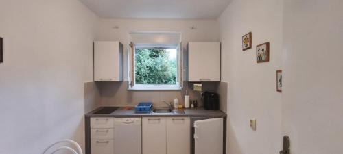 Apartments Crnimolo