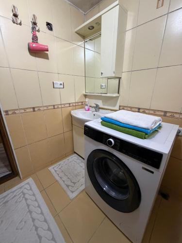 a washing machine in a bathroom with a sink at BAHAR APART in Ayder Yaylasi