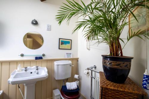 a bathroom with a sink and a potted plant at The Forge in Bakewell