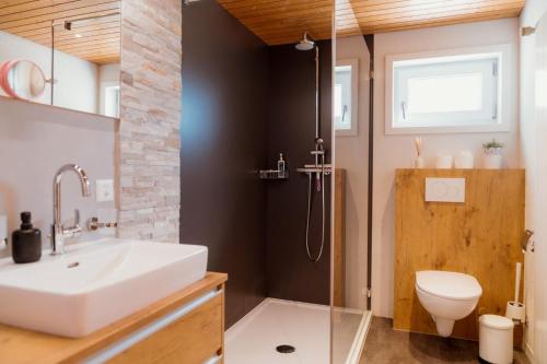 a bathroom with a sink and a toilet and a shower at Apartment Bergdohle in Amden