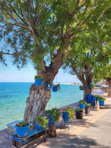 Katarraktis Chios Luxury Suites -The Polykriti Suite